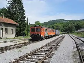 Novi Golubovec