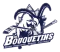 Logo depuis 2017.