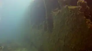 Le long de la coque