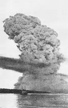 Photographie du nuage peu après l'explosion.