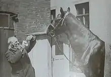 Photographie en noir et blanc d'un cheval et d'un homme qui lui présente une lettre sur du carton