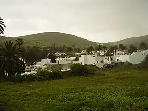 Palmeraie de Haría