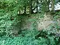 Ruines de la fontaine de Saucenot.