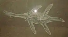 Photographie d'un squelette de Hauffiosaurus dans une dalle de roche.