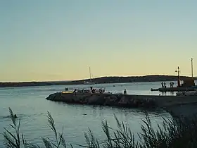 Port de Premuda