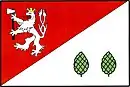 Drapeau de Havlíčkova Borová
