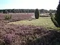 Lande du Hauszelberg