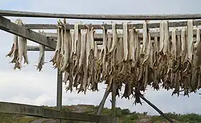 Stockfisch
