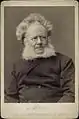 front dégarni, abondante chevelure blanche en auréole, barbe blanche de chaque côte du visage