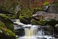 Cascade