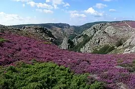 Vue des gorges d'Héric sur la commune de Rosis.