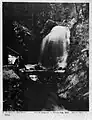 La cascade d'Amselfall&nbsp;(de) en Suisse saxonne (1857)
