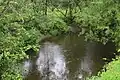 Rivière à la Tortue.
