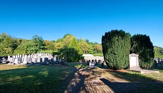Vue panoramique