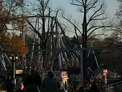 Great Bear