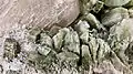 Heulandite et céladonite - Shakur Inde - (Vue 5&nbsp;cm)