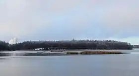 Hevossaari