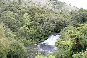 Makahu