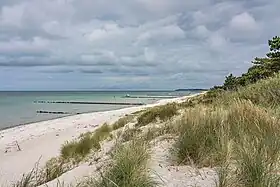 Hiddensee
