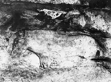 Le grand cheval de 2,15 m de long