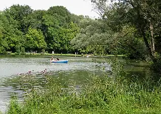 Barques sur le lac