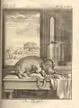 L'Hippopotame, édition de Leipzig, 1767.