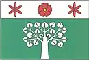 Drapeau de Hlavatce