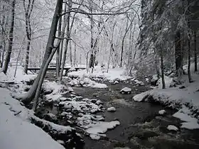 La Hoëgne sous la neige.