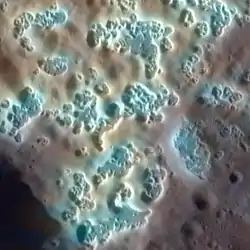 "Hollows" sur Mercure . Les couleurs sont améliorées. La largeur de l'image est de 7&nbsp;km.