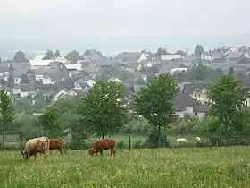 Holzbach