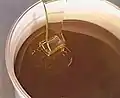 Mise en pot du miel (après maturation).