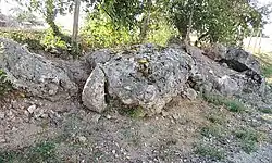 Image illustrative de l’article Dolmen des Gâts-Fleuris