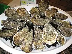 Assiette d'huîtres creuses (ou «&nbsp;japonaises&nbsp;» : Magallana gigas)