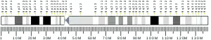 Chromosome 9 humain