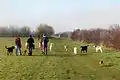 Le « Mile des chiens »