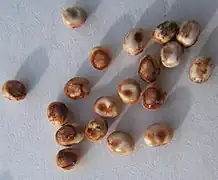 œufs