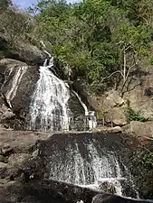 Les Monkey Falls (en)