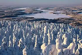 Kuusamo