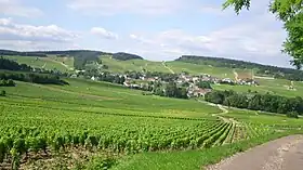 Mercurey