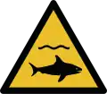 W054 – Requins