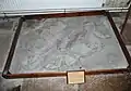 Fossile d'Ichthyosaurus dans l'église St. Andrew de Stogursey (en).