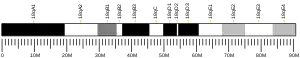 Chromosome 18 (souris)