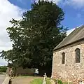 If millénaire et bas-côté sud de l'église.