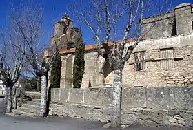 Monleras