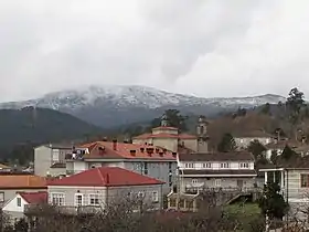 Entrimo