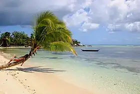 Plage de l'île aux Nattes.