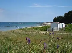 Plage des Sapins