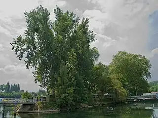 Image illustrative de l’article Île du Berceau