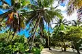 Iles aux nattes ( Nosy Nato)