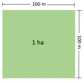 Image illustrative de l’article Hectare
